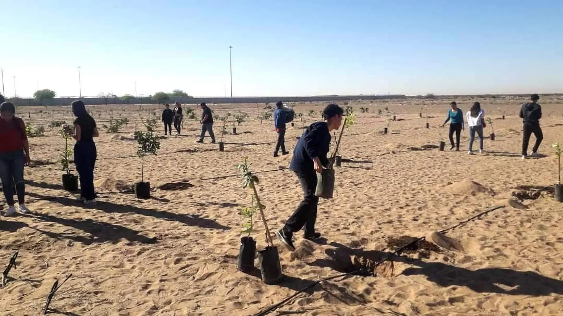 Estudiantes de la carrera de horticultura de la UES participan en actividades de reforestación de la ciudad